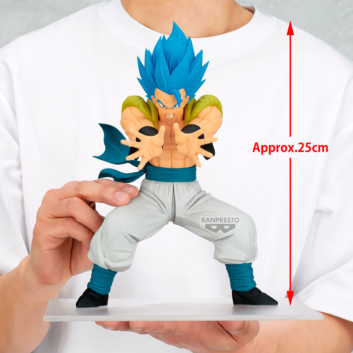 Dragon Ball Super Grandista Gogeta II