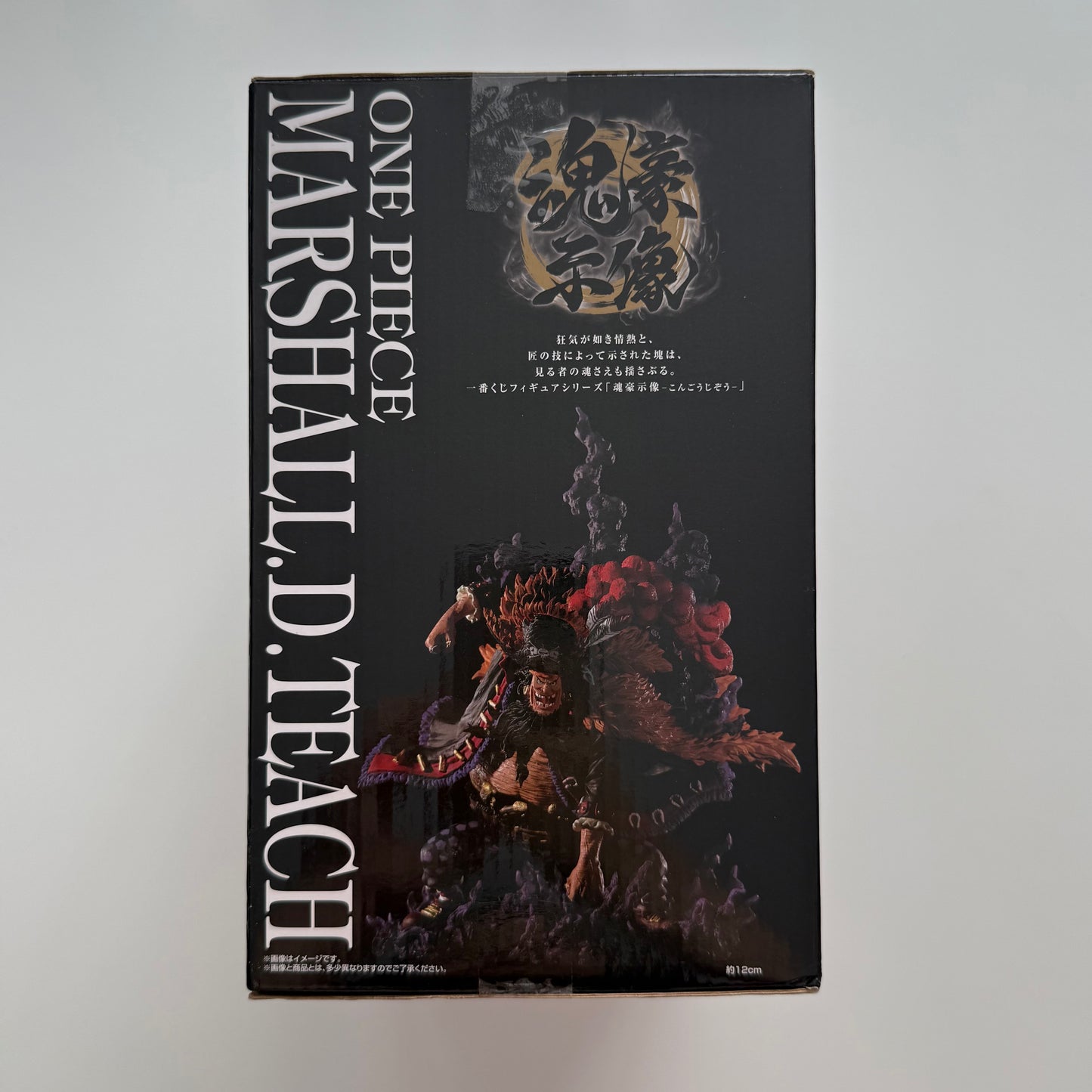 BANDAI Ichiban Kuji Marshall D. Teach Blackbeard Prize B