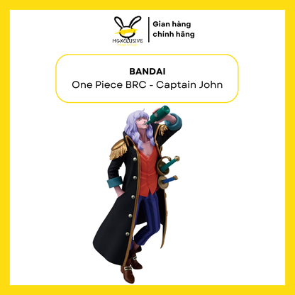One Piece Battle Record Collection Captain John