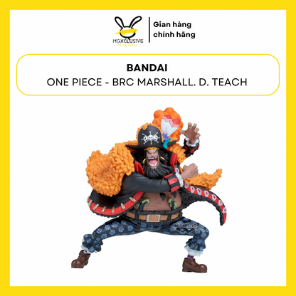 One Piece Battle Record Collection Marshall. D. Teach